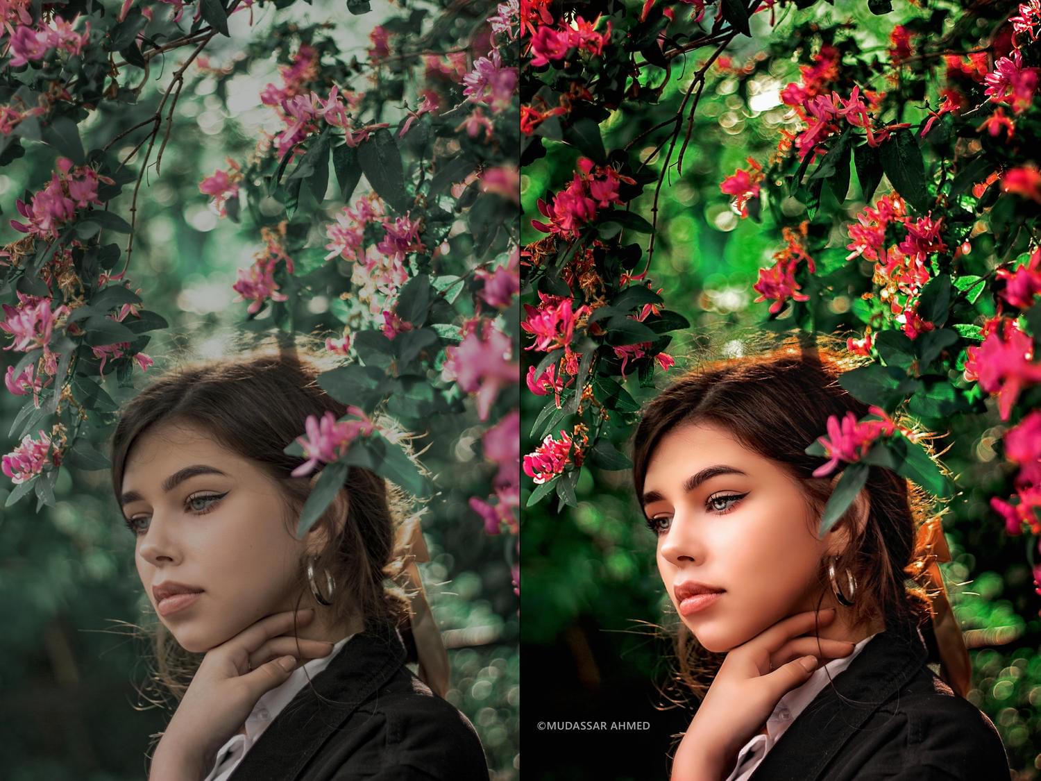 SkillEdgeX - Image 2